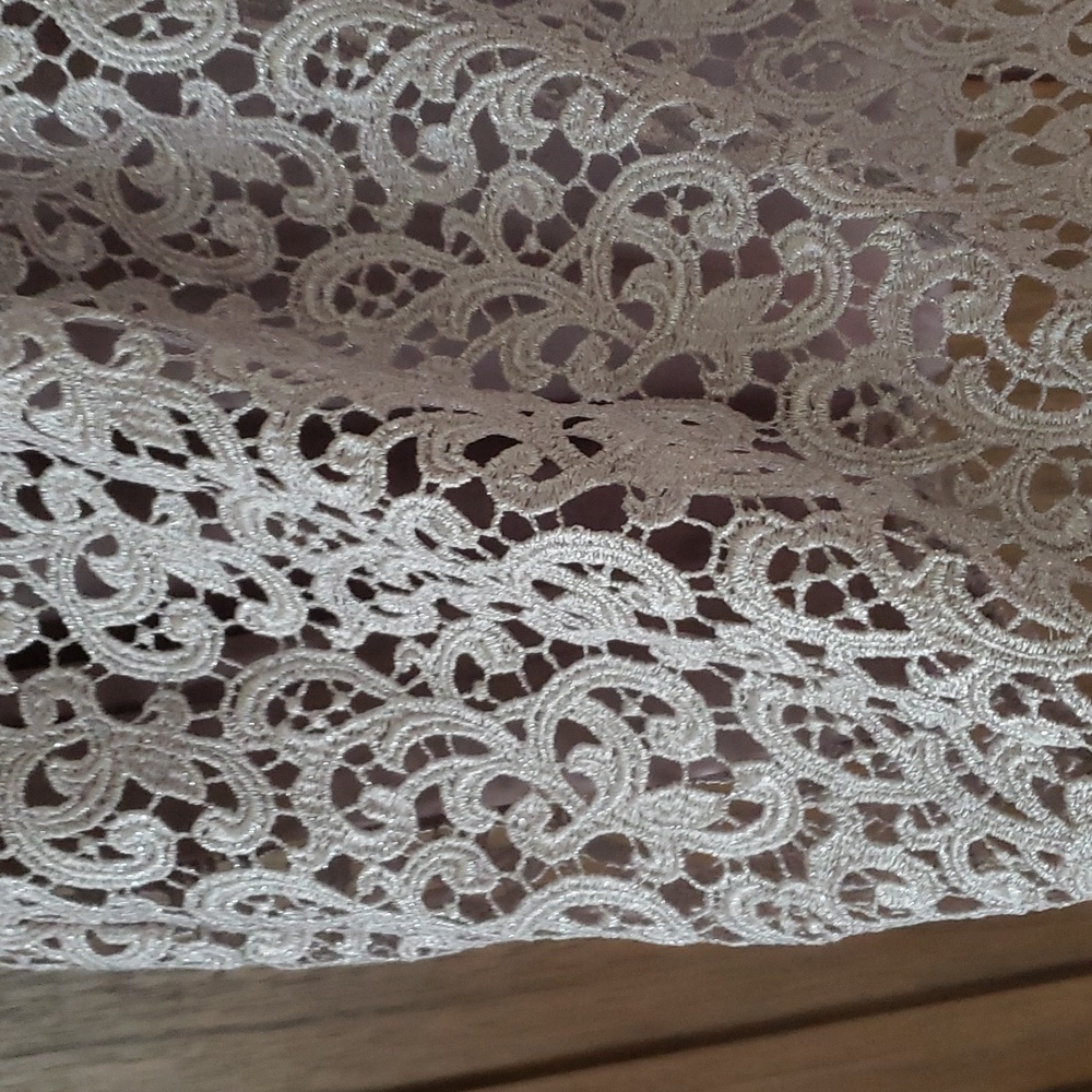 Boston Proper lace mini skirt, size 10 - Picture 2 of 4